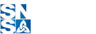 Subnet Services Logo